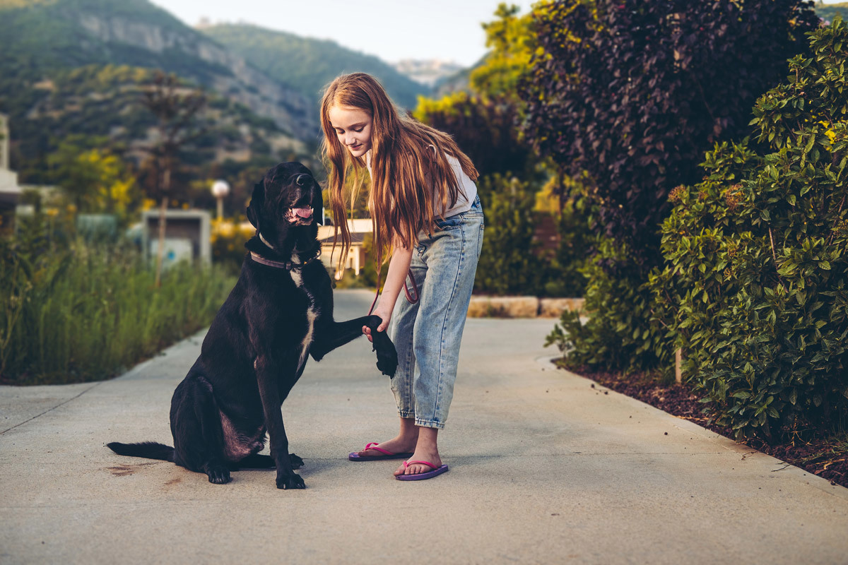 A dog is offering its paw to a girl.